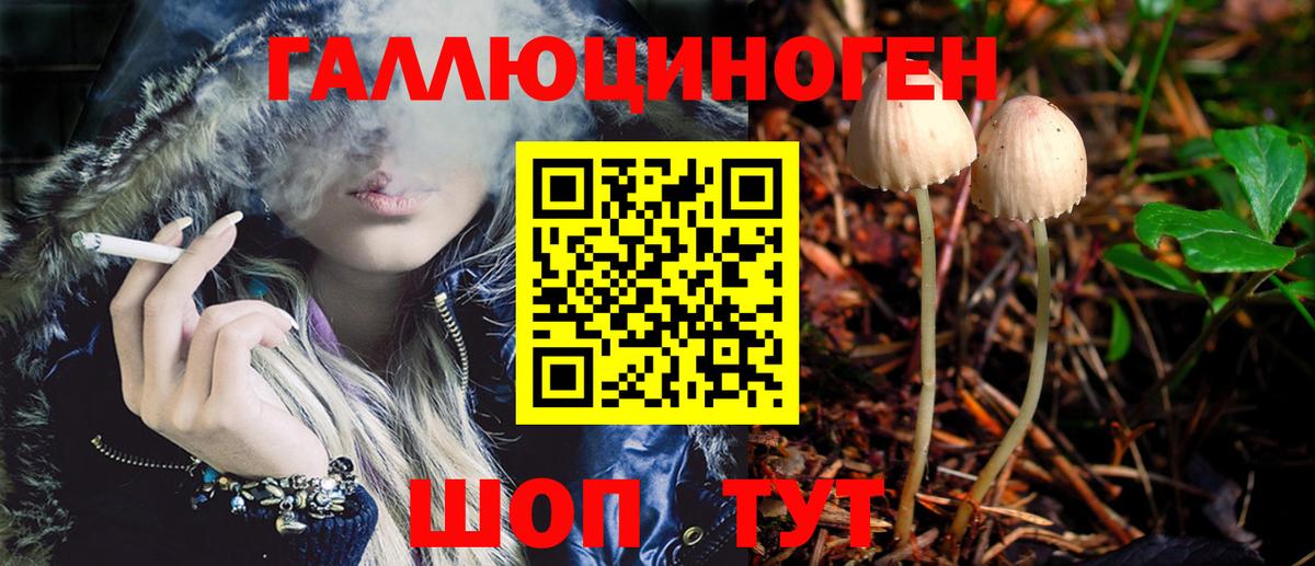 Унеча  сколько стоит  Вход с VPN  Галлюциногенные грибы Psilocybe 